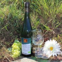 Riesling trocken 2018 Würzlay Auslese