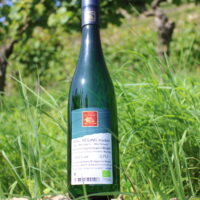 Riesling trocken 2021 Würzlay Qualitätswein
